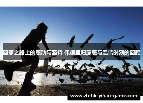 回家之路上的感动与坚持 佩德里归属感与温情时刻的回顾