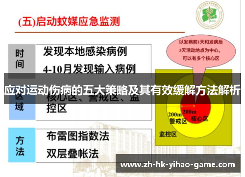应对运动伤病的五大策略及其有效缓解方法解析